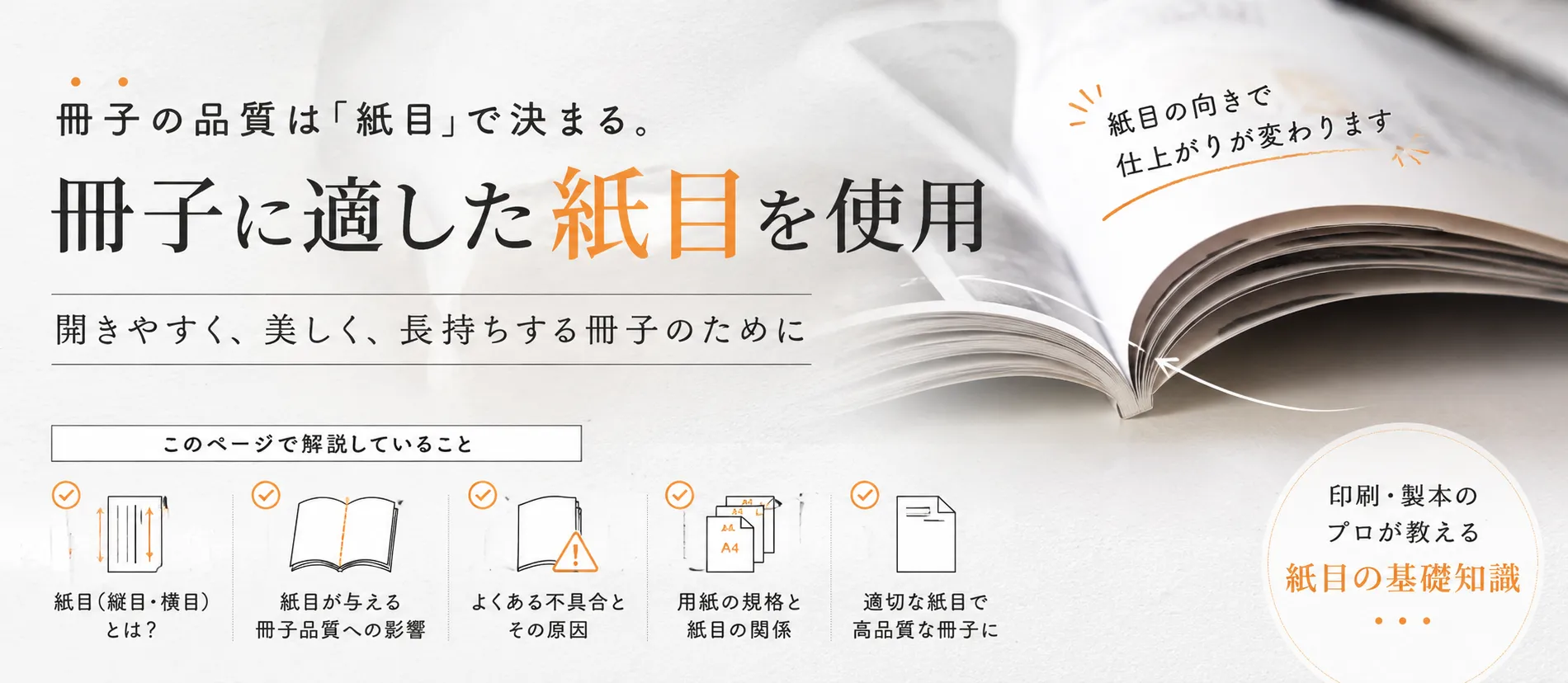 用紙紙目